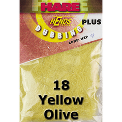 18 Yellow Olive