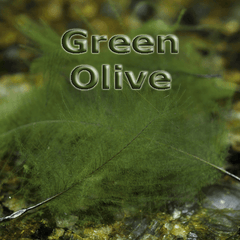 Chevron Hackles CDC  Green Olive