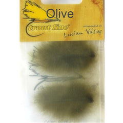 Olive CDC