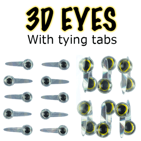 3D Holographic Fish Eyes with Tab