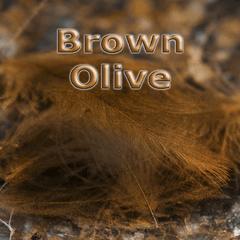 Chevron Hackles CDC  Brown Olive