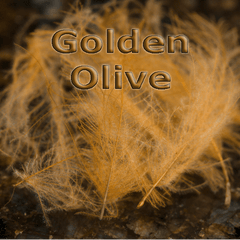 Chevron Hackles CDC  Golden Olive