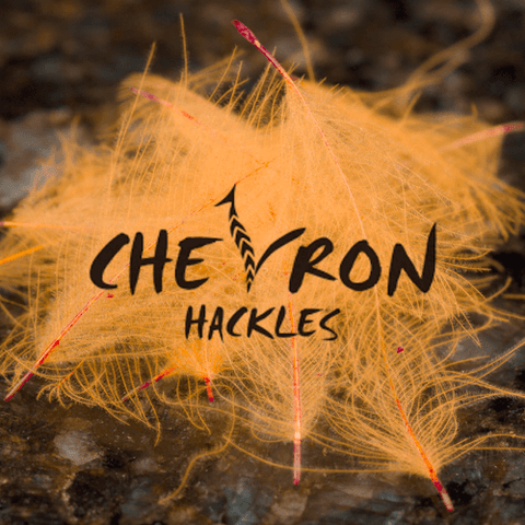Chevron Hand Dyed CDC