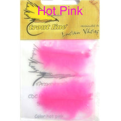 Hot Pink CDC