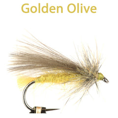 CDC Sedge, golden olive