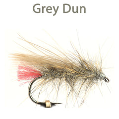 CDC Sedge, grey dun