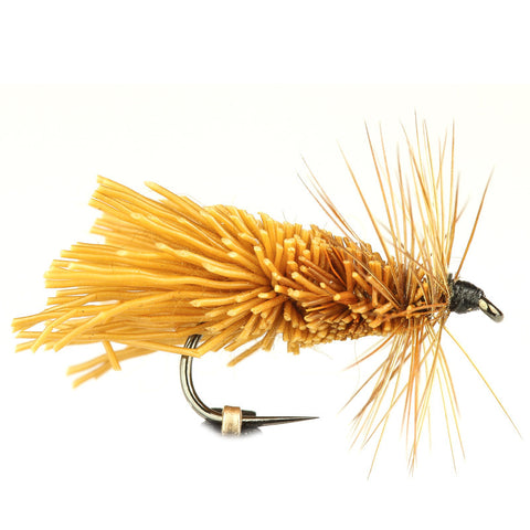 Goddard Sedge, Cinnamon