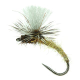 Olive Klinkhamer Special