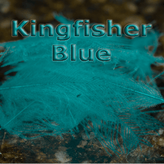 Chevron Hackles CDC  Kingfisher Blue