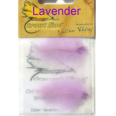 Lavender CDC