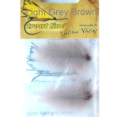 Light Grey Brown CDC