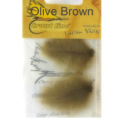 Olive Brown CDC