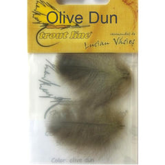 Olive Dun