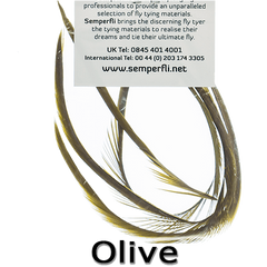 Semperfli Goose Biots Olive