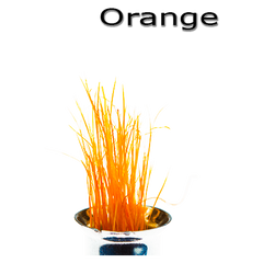 Semperfli Inferno Boar Bristles Orange