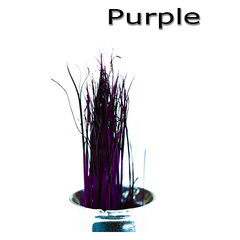 Semperfli Inferno Boar Bristles Purple