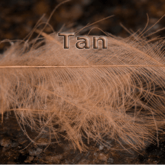 Chevron Hackles CDC  Tan