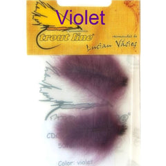 Violet CDC