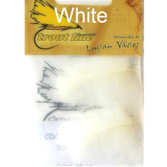White CDC