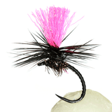 Black Magic Klinkhamer