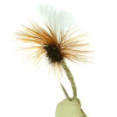 Klinkhamer Special by Robert Smith