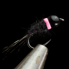 Tungsten Collar Example fly Two