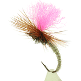Pink Klinkhamer Special