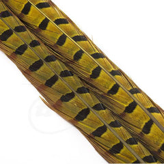 Troutline Picric Pheasant Tail Specially Selected